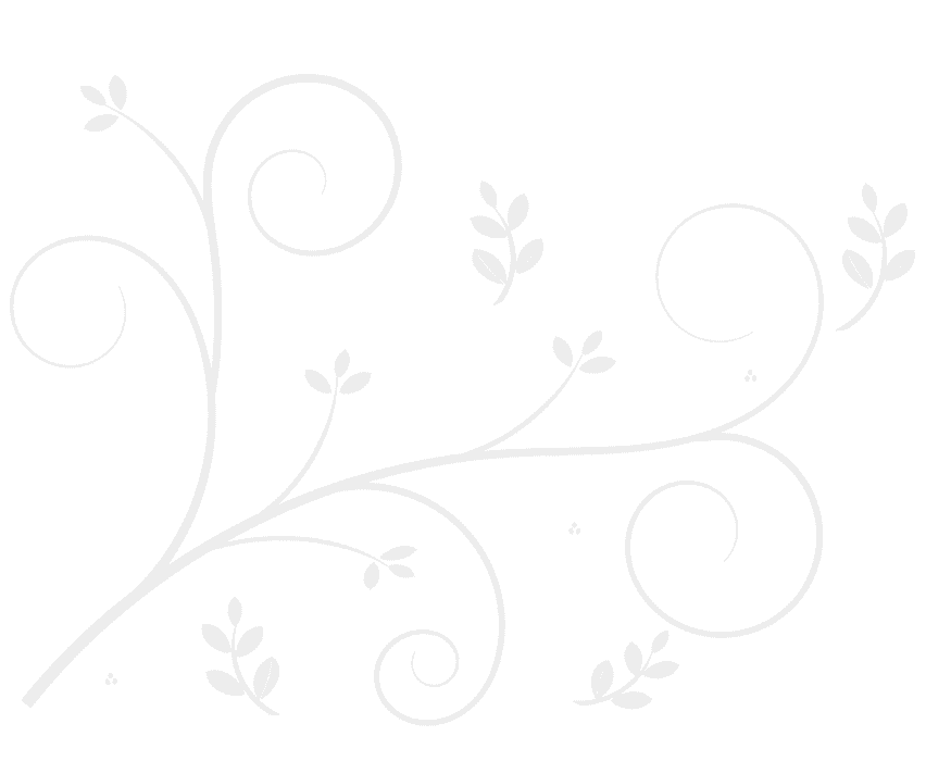 masaj salonu resimleri