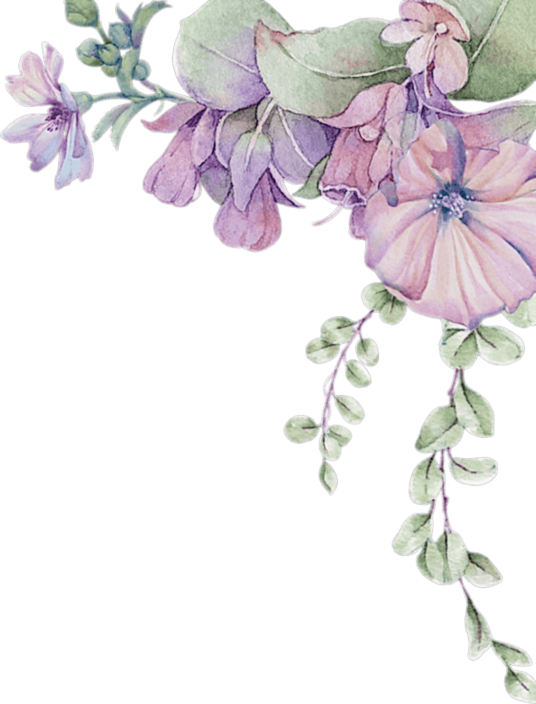  masaj salonu kampanya ankara çankaya